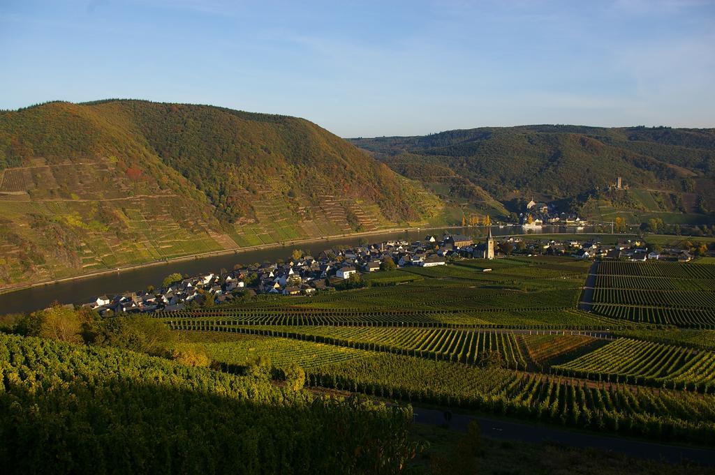 Ferien Weingut Schneider Hotell Ellenz-Poltersdorf Eksteriør bilde